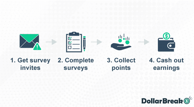 how does surveygoo work