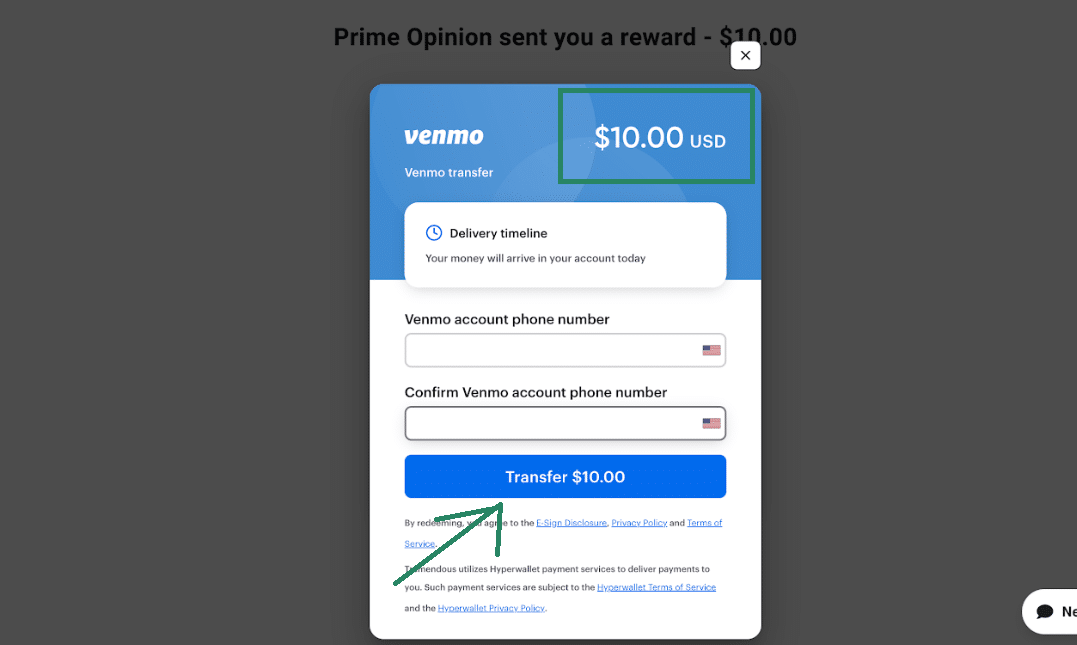 prime opinion payment proof