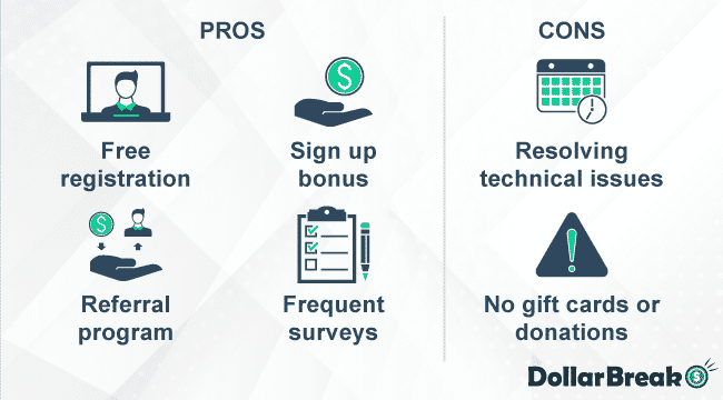 what are surveynetwork pros and cons