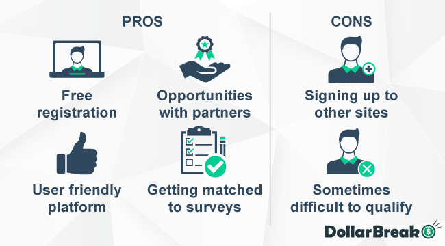 what are surveytaken pros and cons